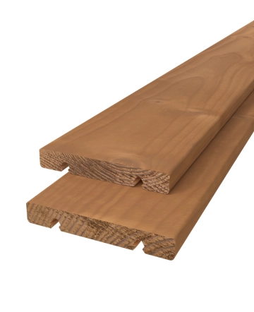 X-clip plank