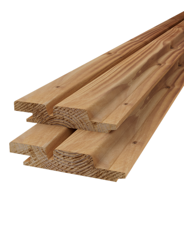 Dubbele rhombus